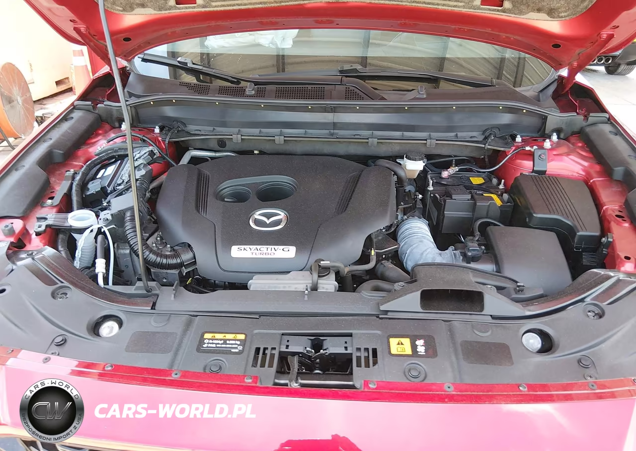 2023 Mazda Cx-5 2.5 Turbo Signature VIN:JM3KFBXY2P0292475 - 10
