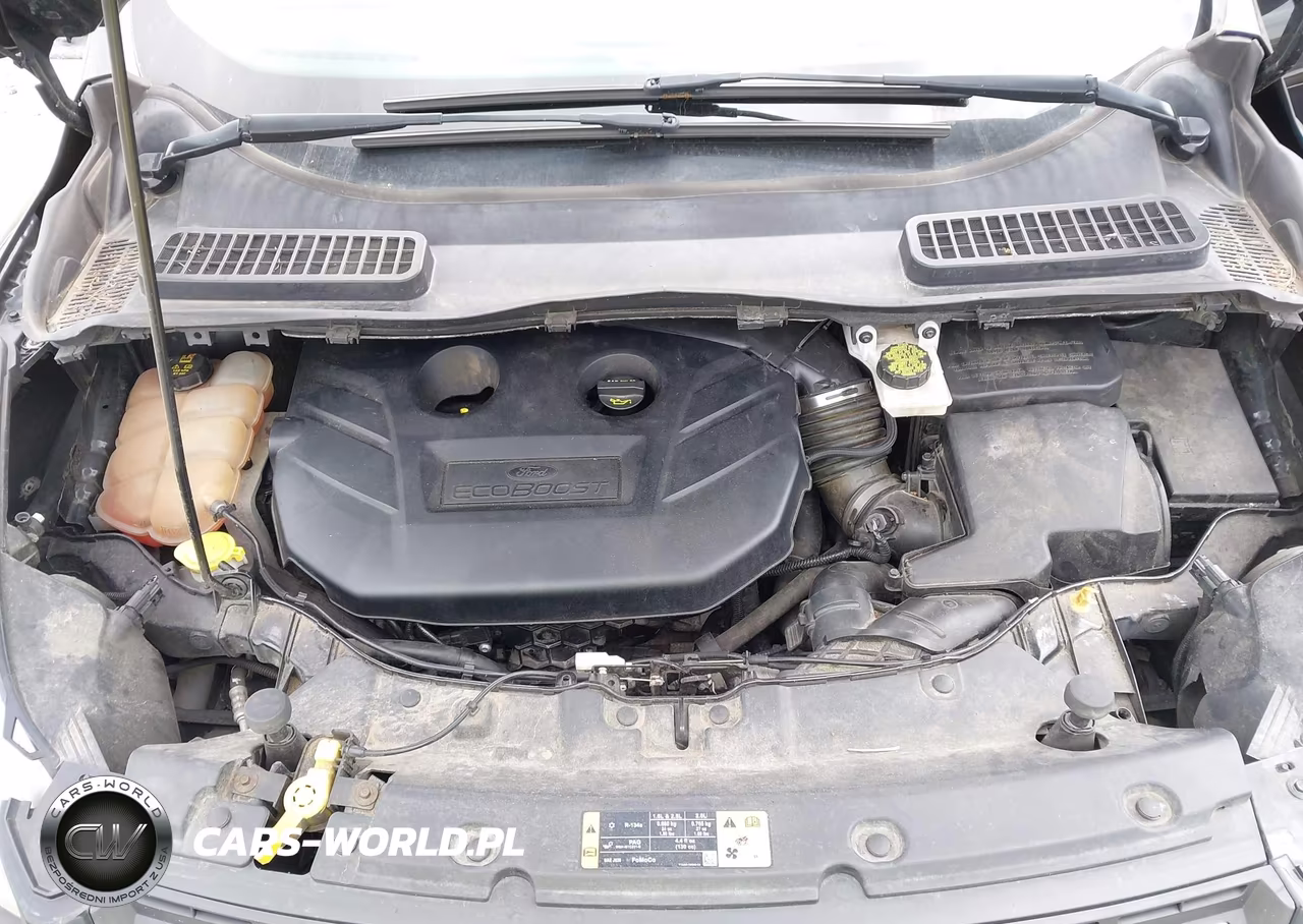 2015 Ford Escape Se VIN:1FMCU0G91FUB32493 - 10