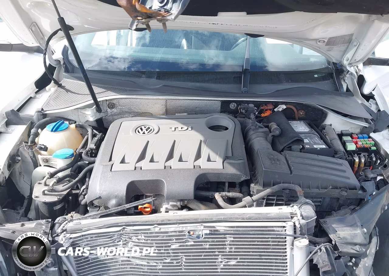 2013 Volkswagen Passat 2.0L Tdi Sel Premium VIN:1VWCN7A31DC108564 - 10