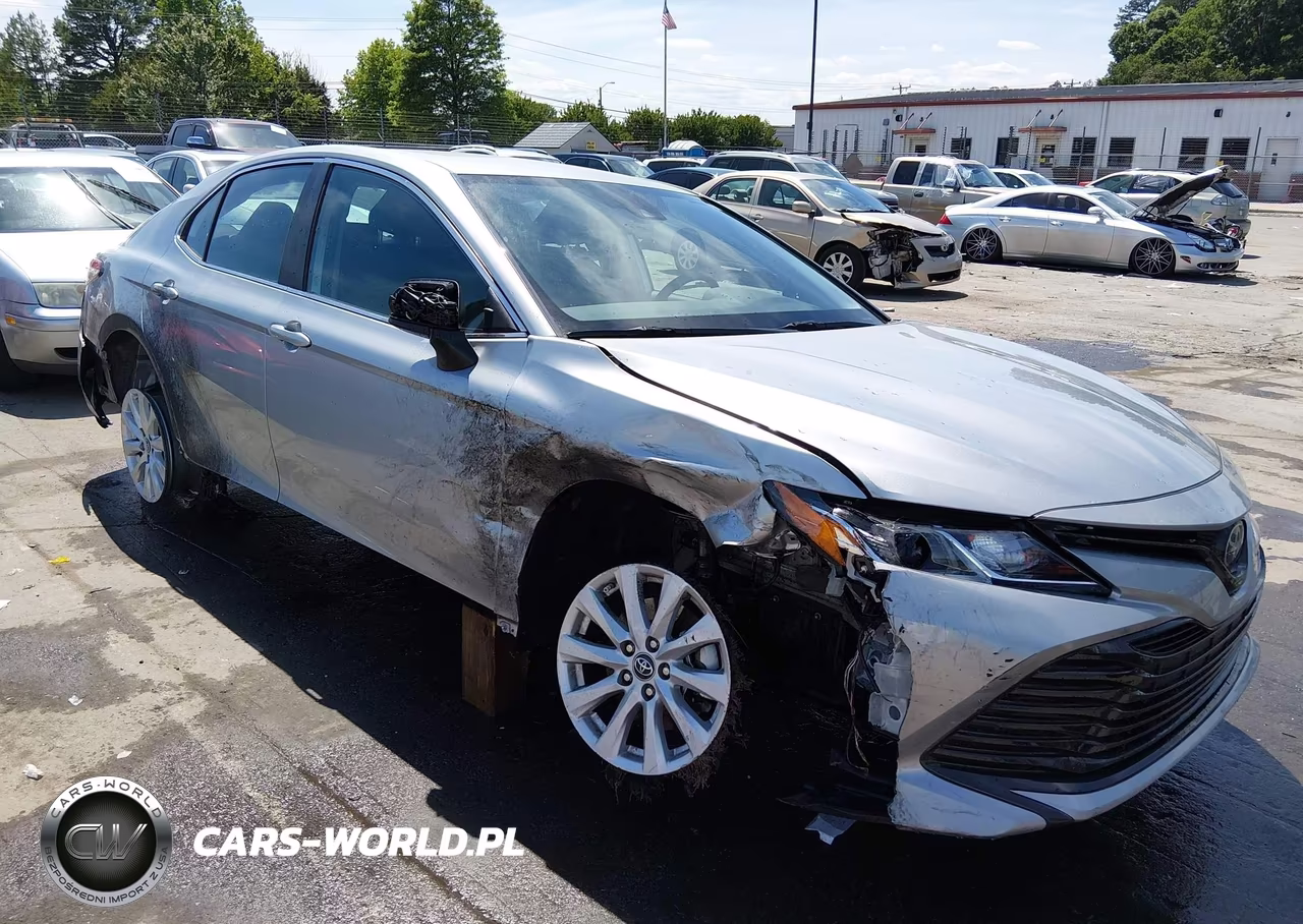 2019 Toyota Camry Le VIN:4T1B11HK9KU251933 - 1