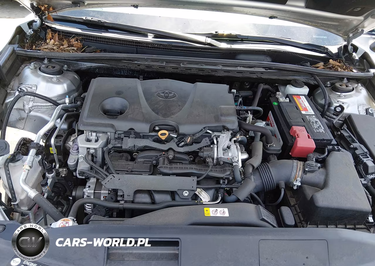 2019 Toyota Camry Le VIN:4T1B11HK9KU251933 - 10