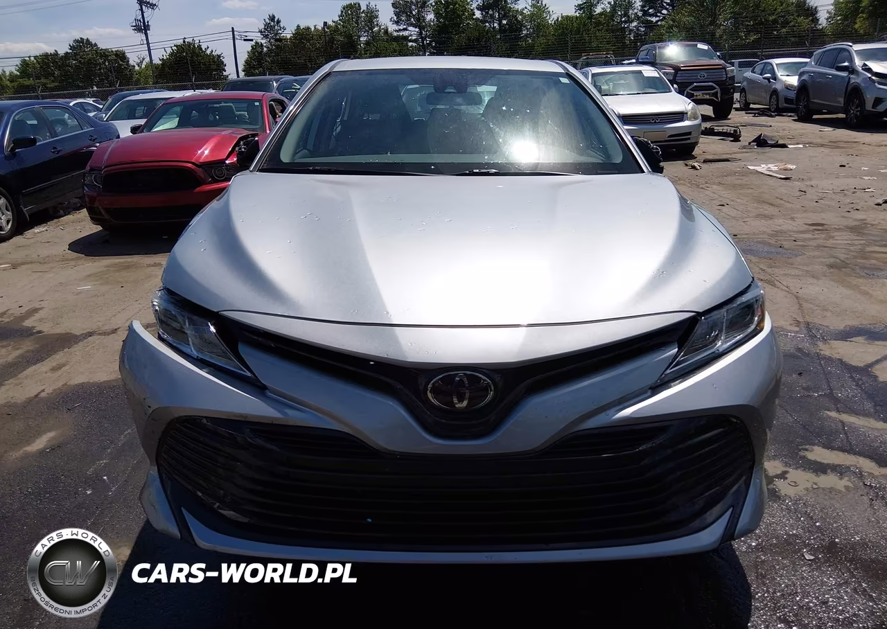 2019 Toyota Camry Le VIN:4T1B11HK9KU251933 - 12