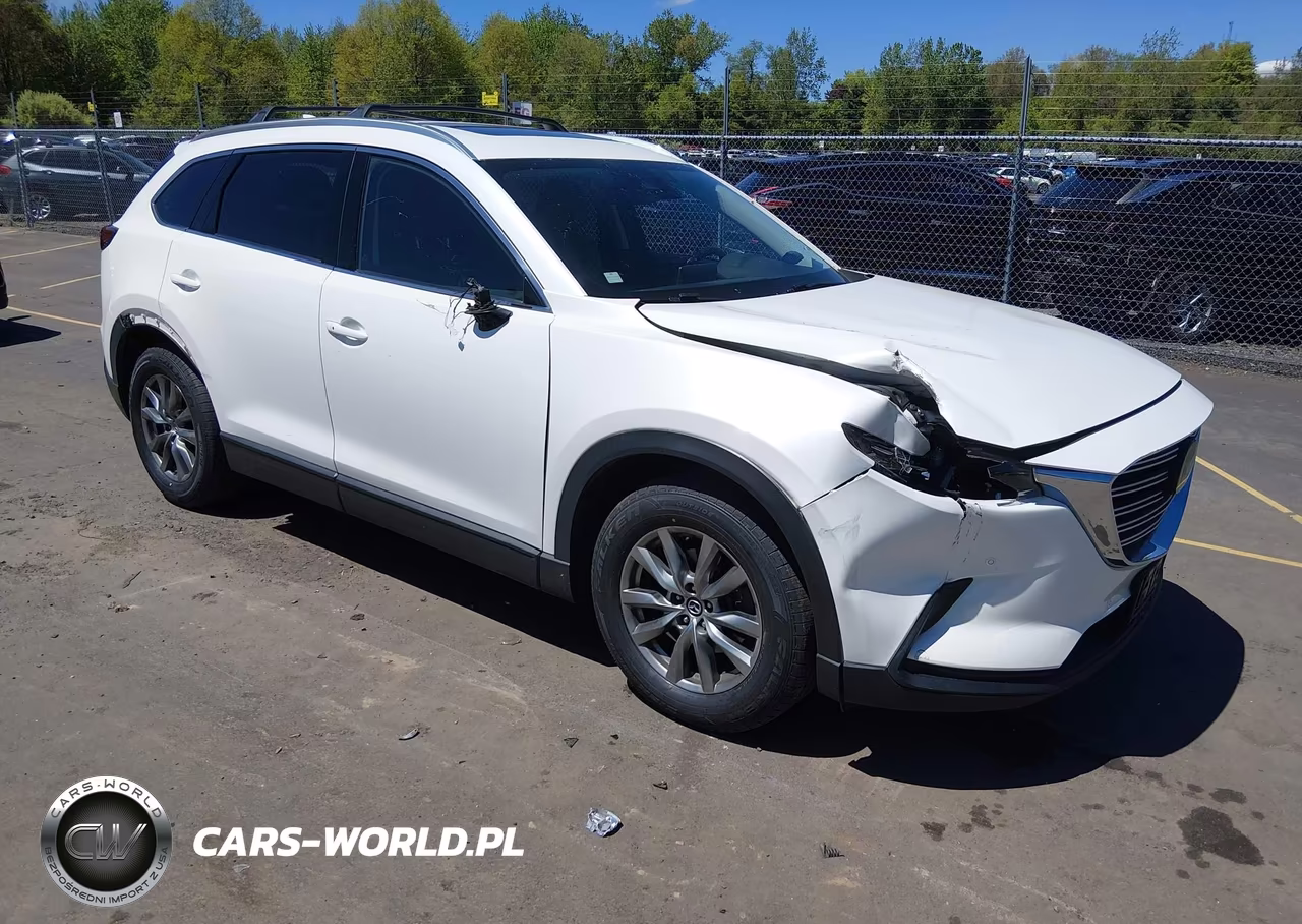 2019 Mazda Cx-9 Touring