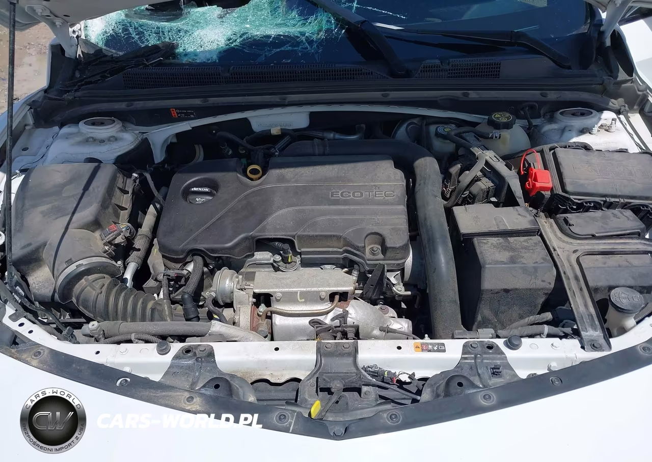 2019 Chevrolet Malibu 1Fl VIN:1G1ZC5ST9KF114347 - 10