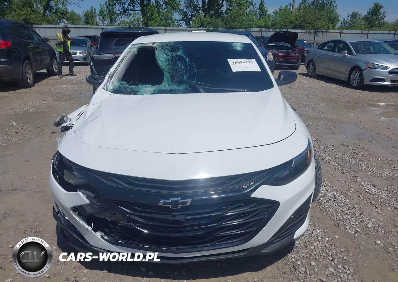 2019 Chevrolet Malibu 1Fl VIN:1G1ZC5ST9KF114347 - 12