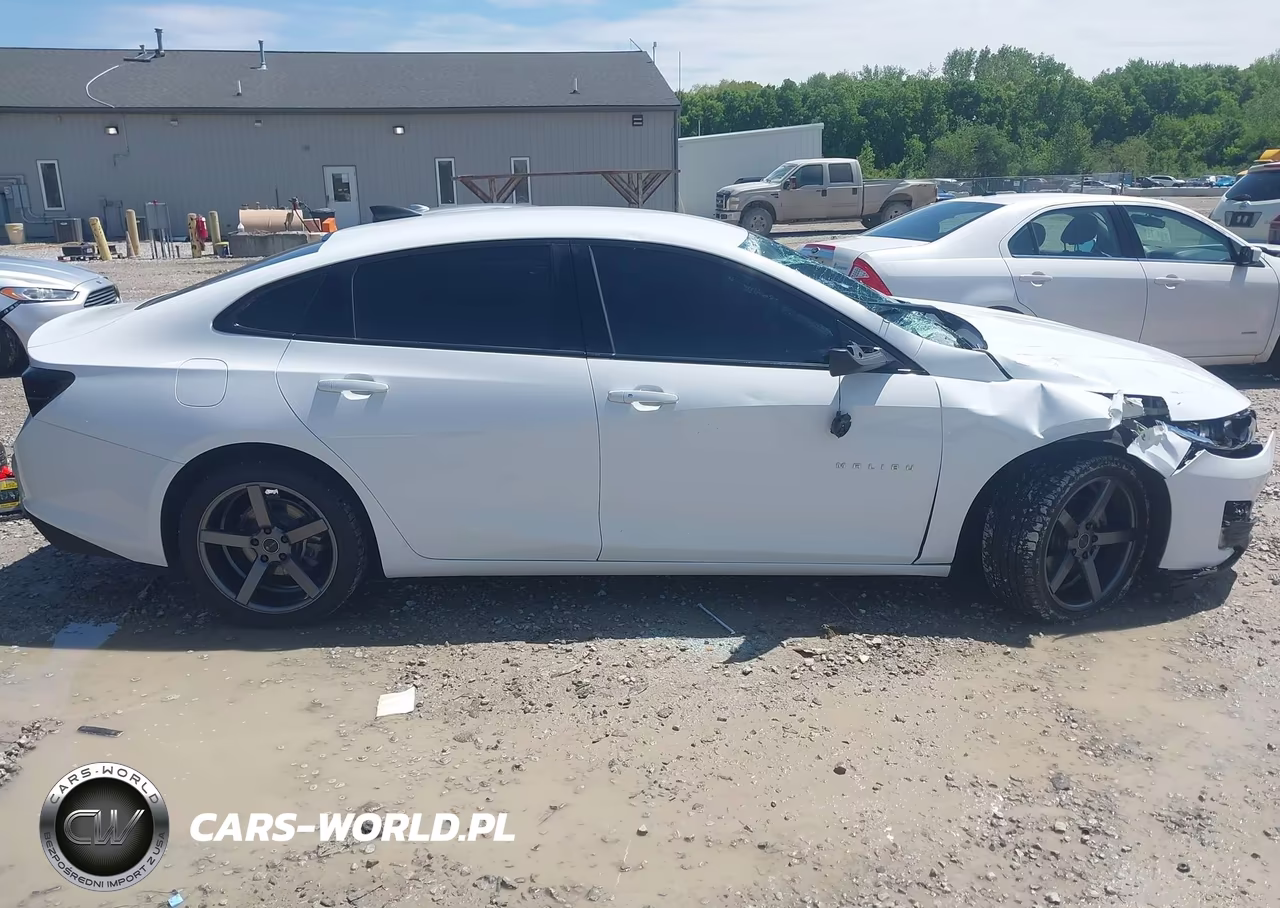 2019 Chevrolet Malibu 1Fl VIN:1G1ZC5ST9KF114347 - 13