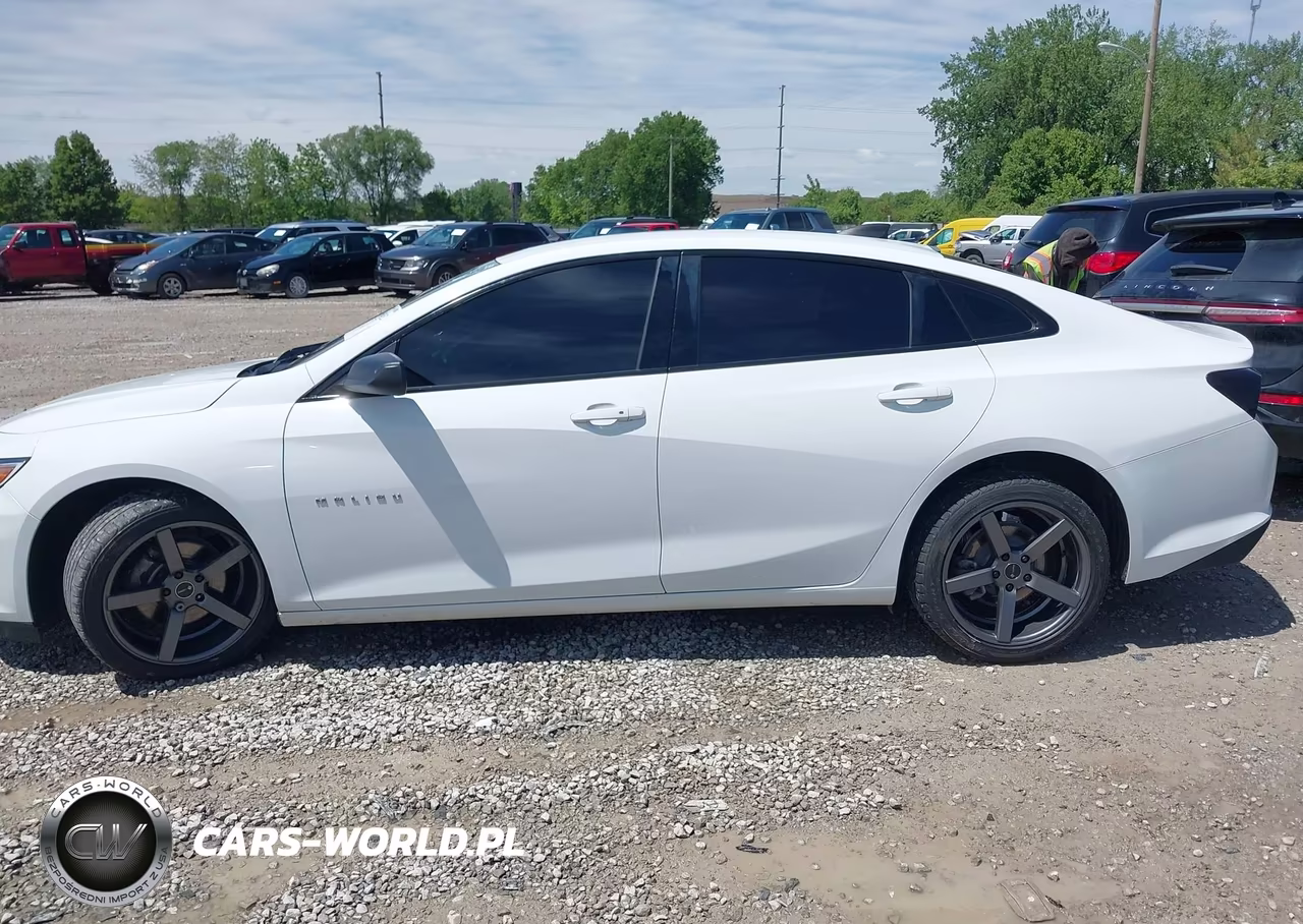 2019 Chevrolet Malibu 1Fl VIN:1G1ZC5ST9KF114347 - 14