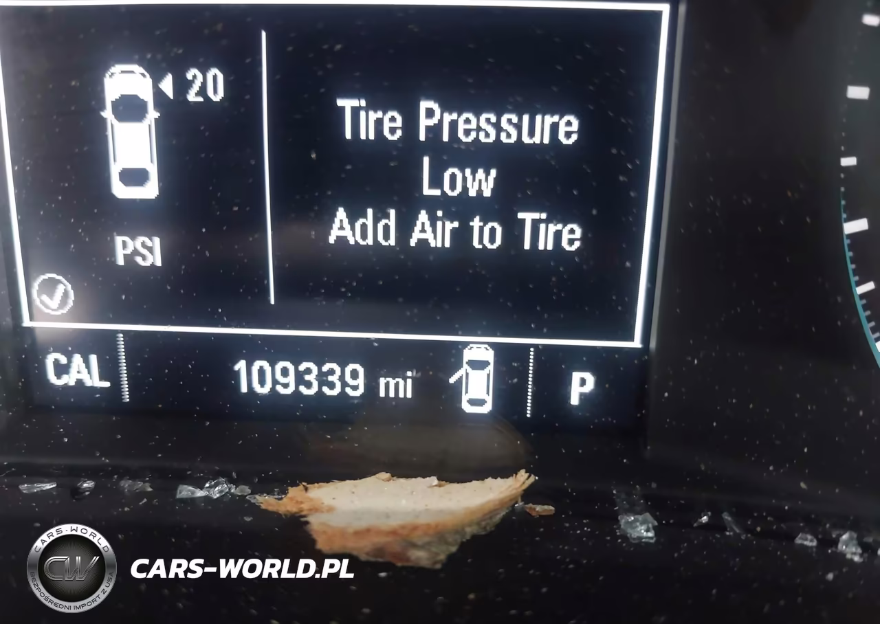 2019 Chevrolet Malibu 1Fl VIN:1G1ZC5ST9KF114347 - 15