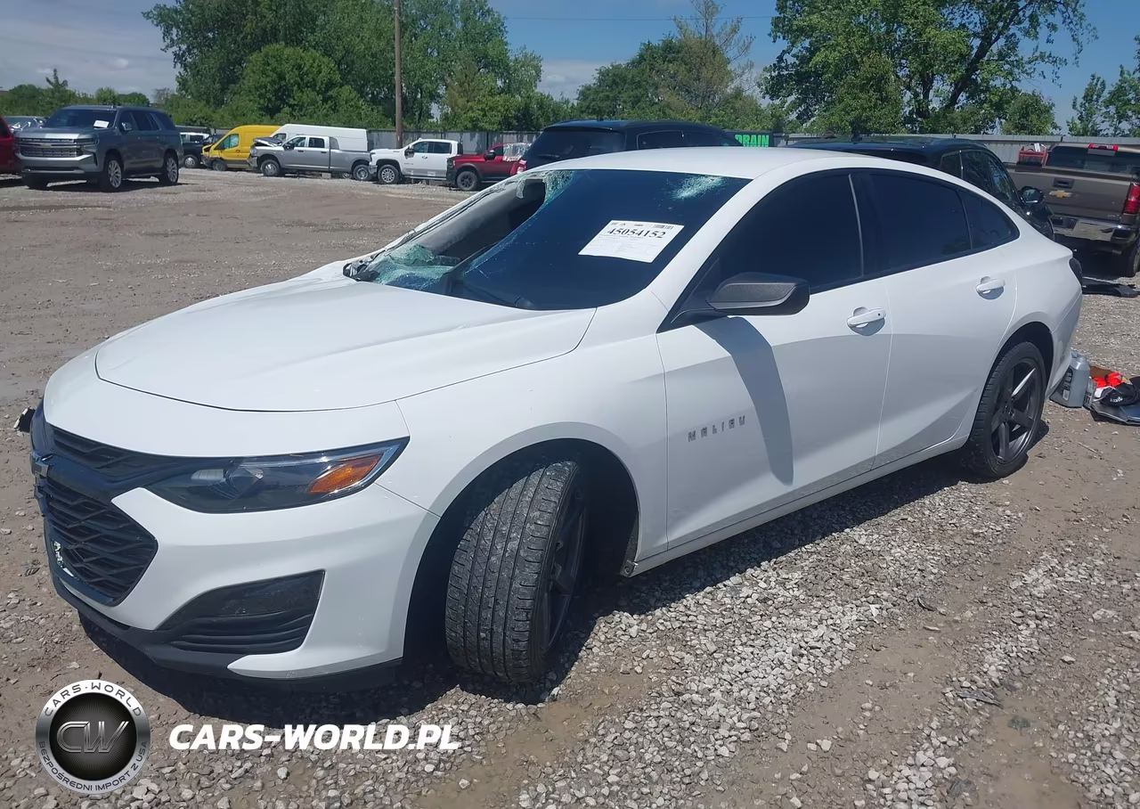 2019 Chevrolet Malibu 1Fl VIN:1G1ZC5ST9KF114347 - 2