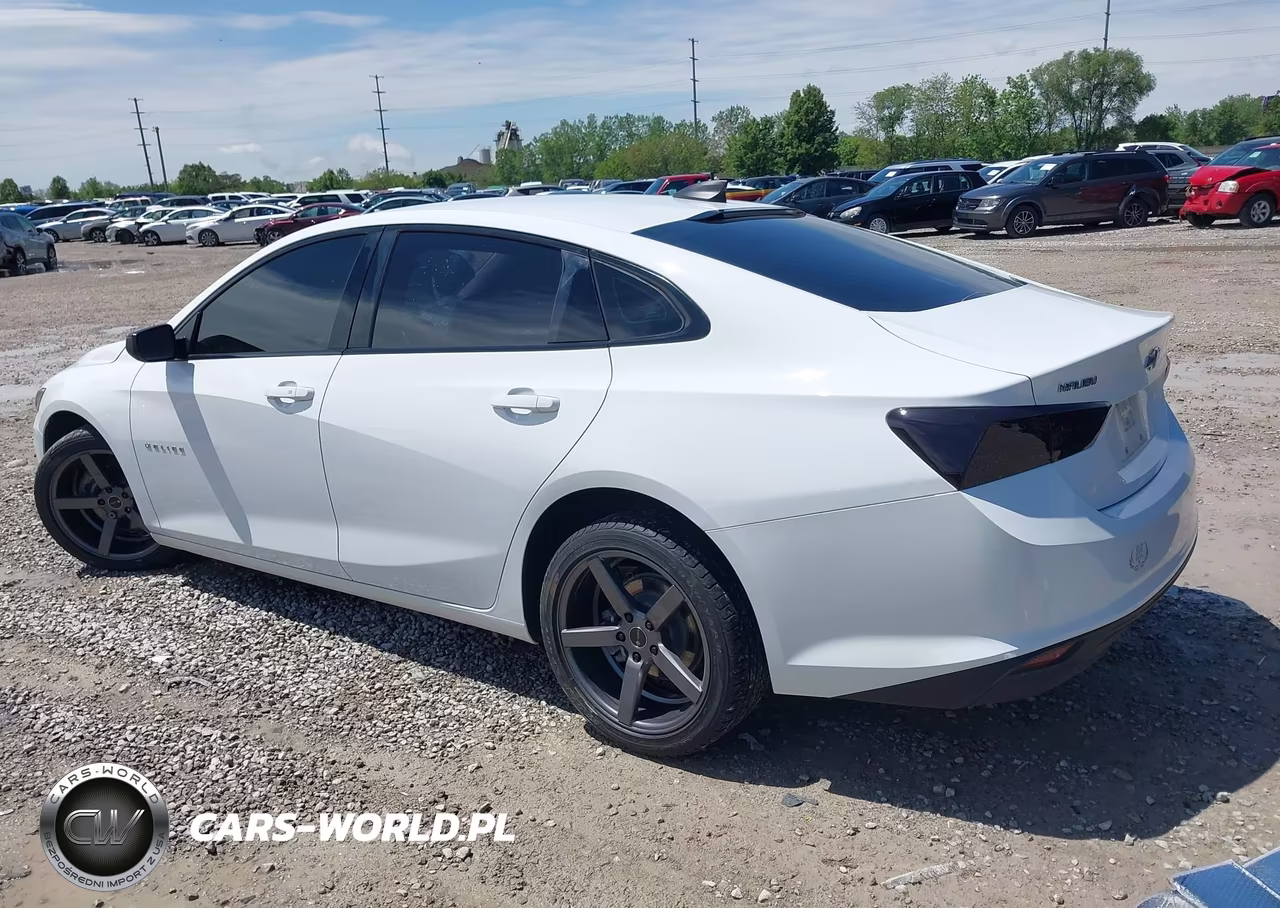 2019 Chevrolet Malibu 1Fl VIN:1G1ZC5ST9KF114347 - 3