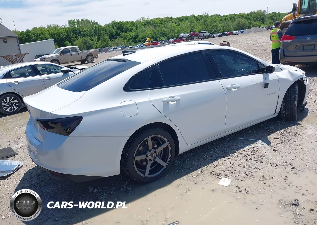 2019 Chevrolet Malibu 1Fl VIN:1G1ZC5ST9KF114347 - 4