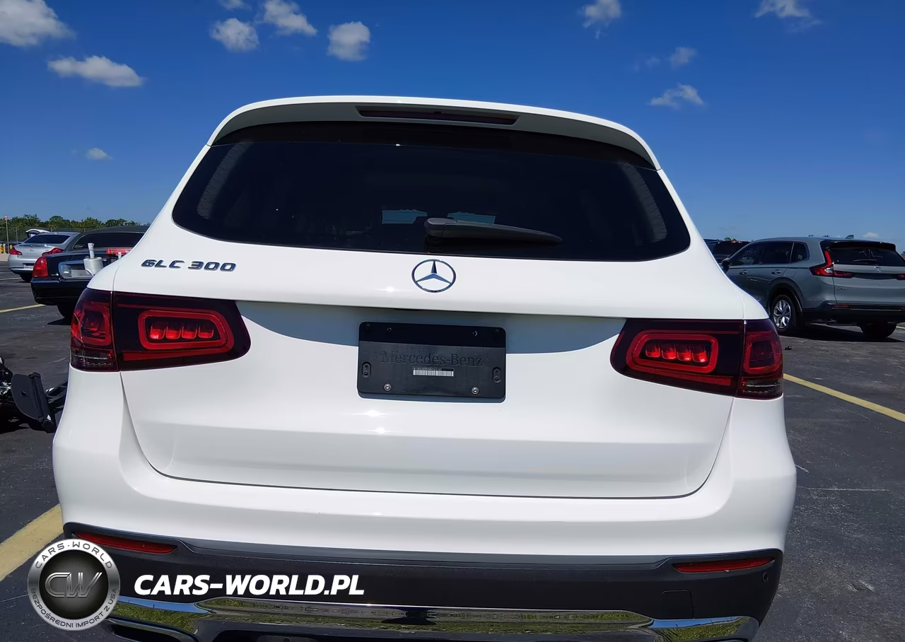 2021 Mercedes-Benz Glc 300 Suv VIN:W1N0G8DB2MV263162 - 17
