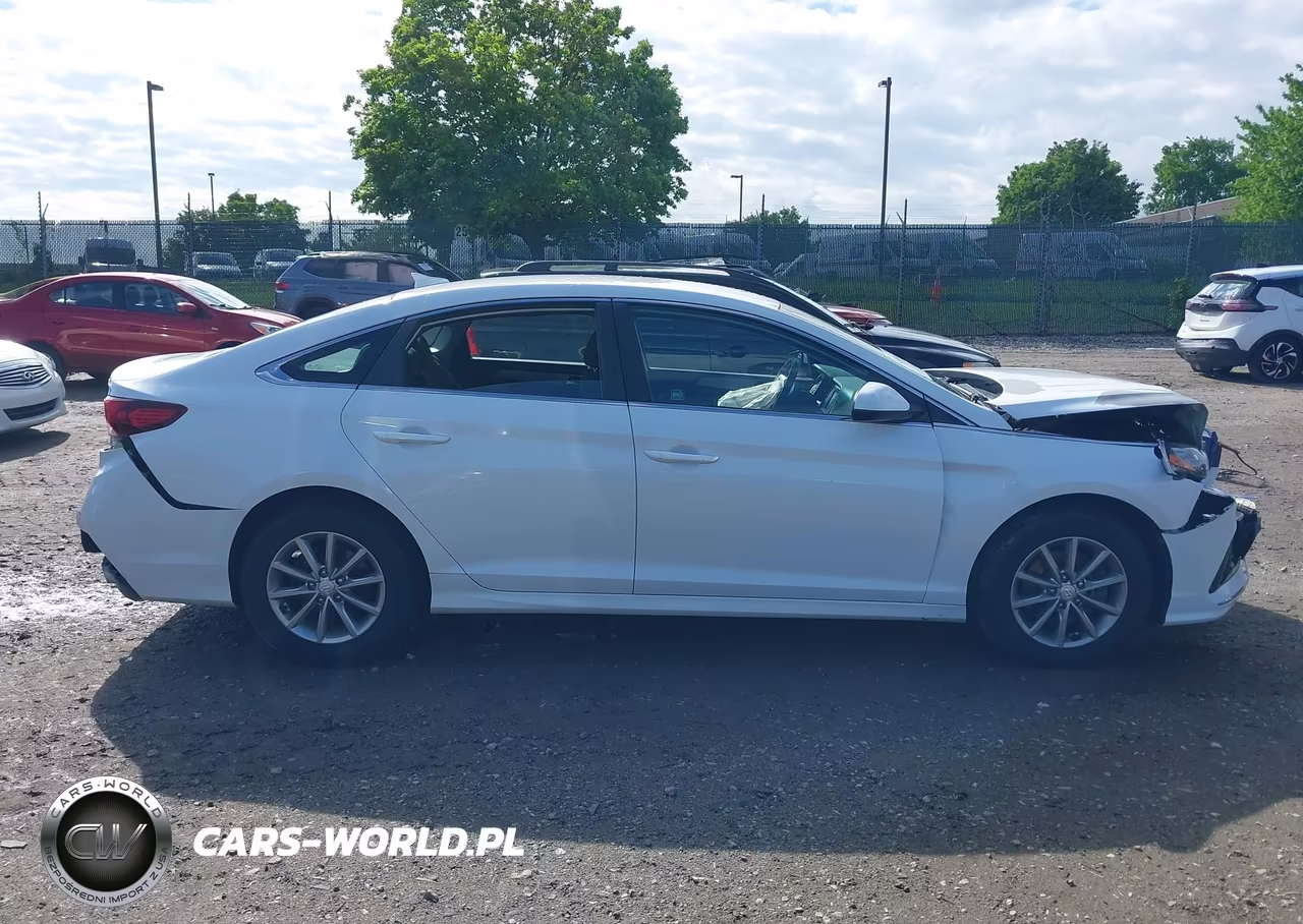 2019 Hyundai Sonata Se VIN:5NPE24AF1KH744612 - 12