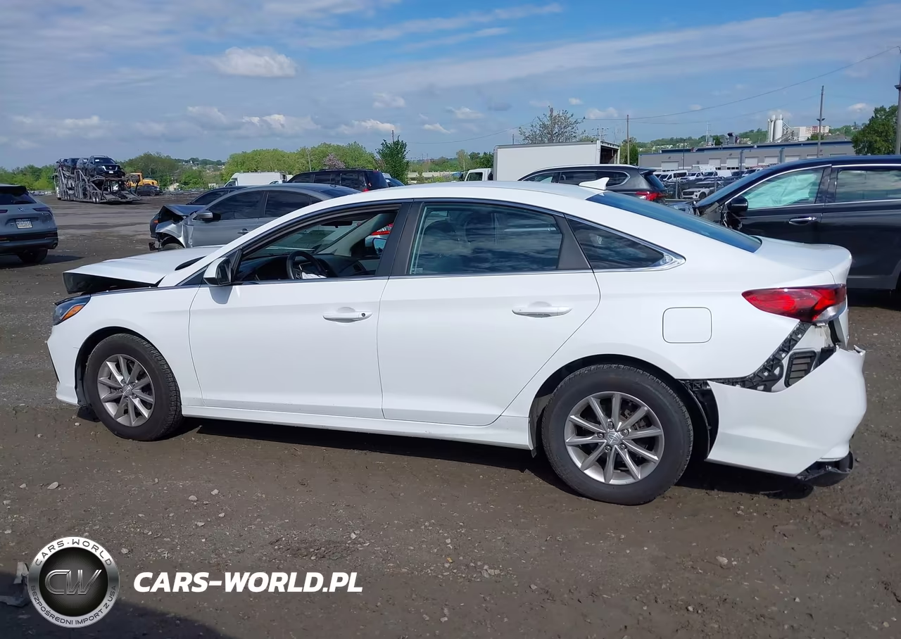 2019 Hyundai Sonata Se VIN:5NPE24AF1KH744612 - 13