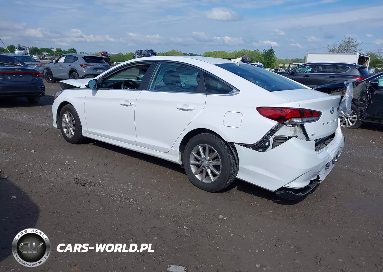 2019 Hyundai Sonata Se VIN:5NPE24AF1KH744612 - 3