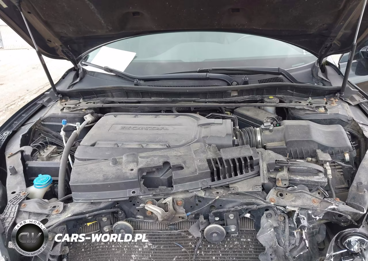 2014 Honda Accord Ex-L V-6 VIN:1HGCR3F83EA011384 - 10