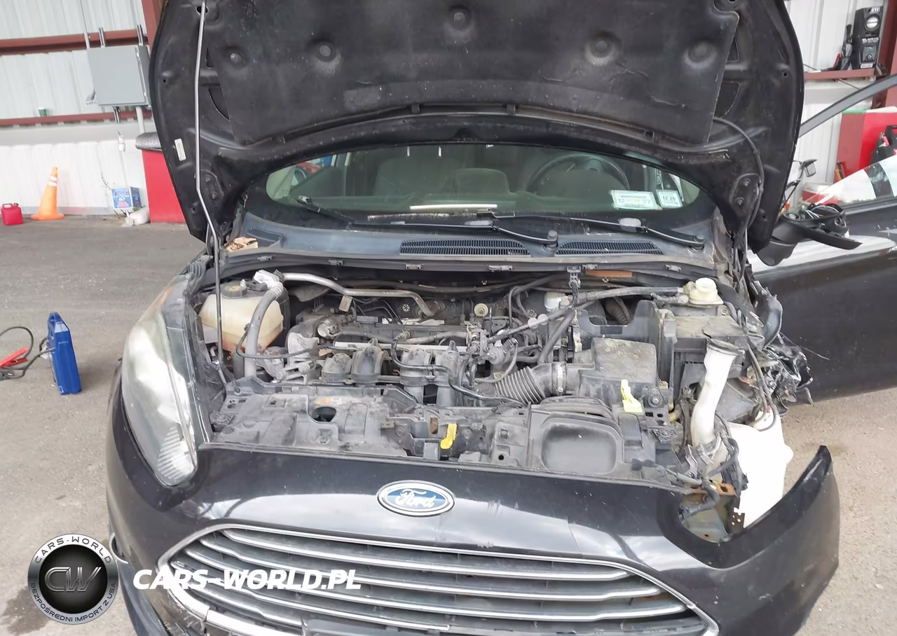 2015 Ford Fiesta Se VIN:3FADP4EJ9FM189457 - 10
