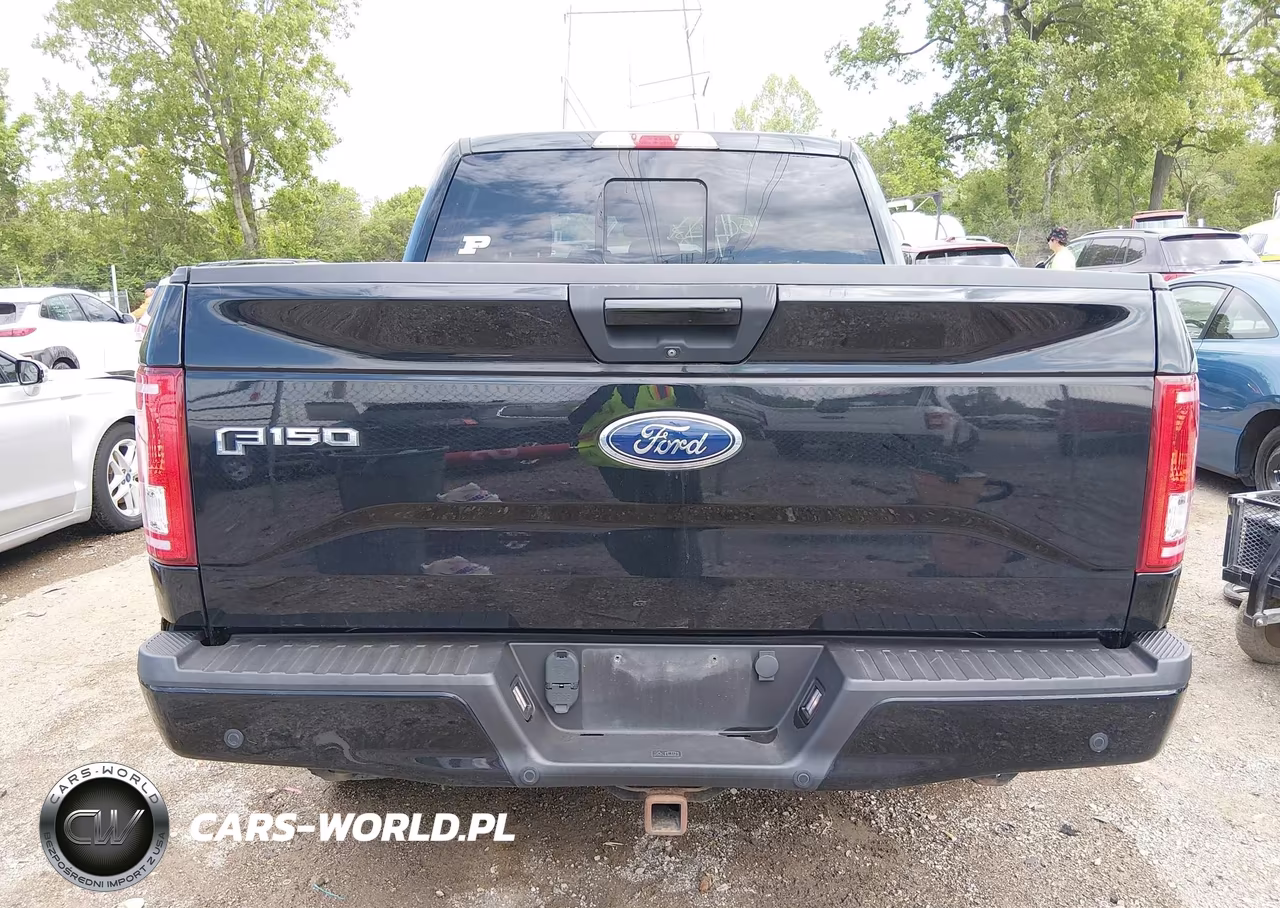 2017 Ford F-150 Xlt VIN:1FTEW1EP1HFC58522 - 16