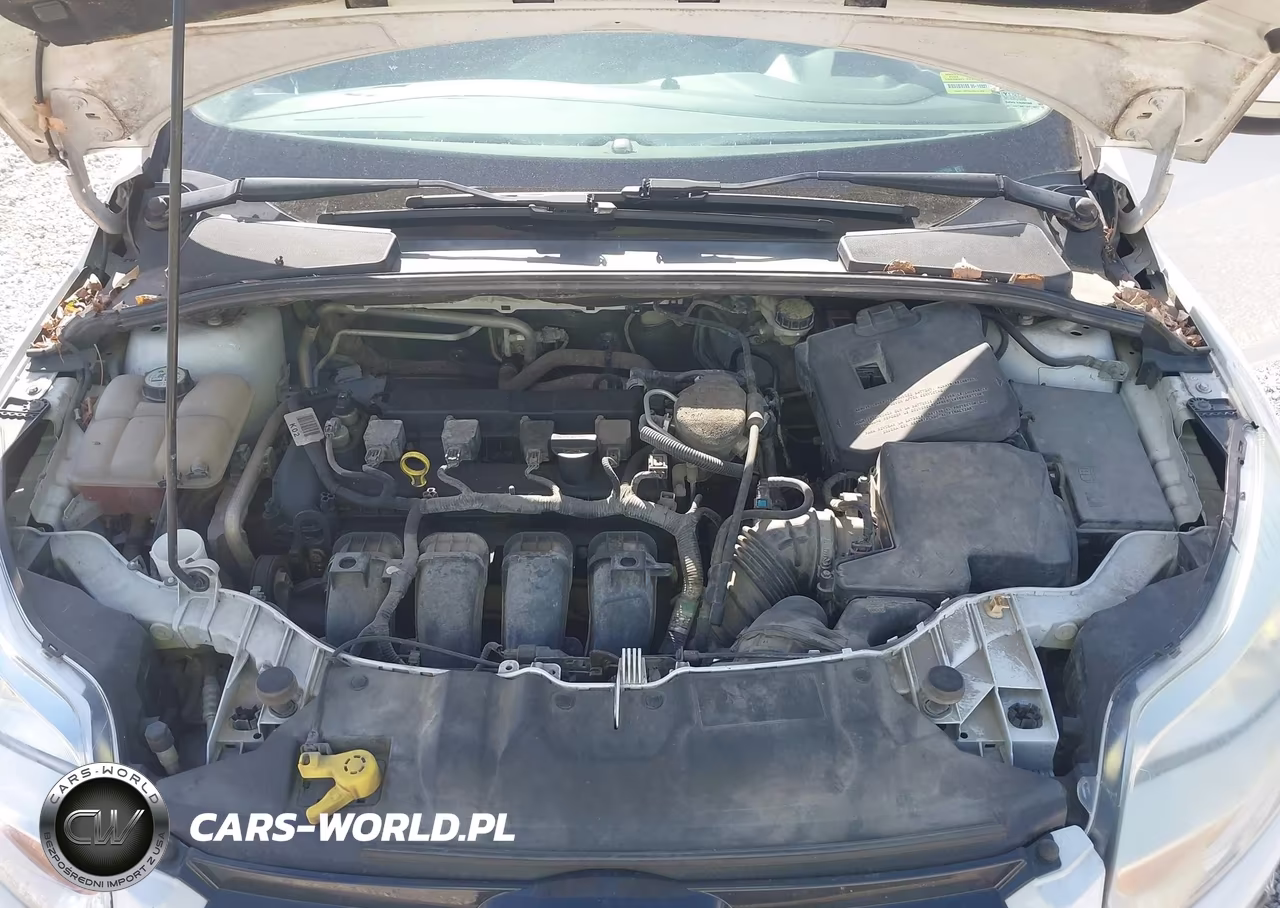 2012 Ford Focus Sel VIN:1FAHP3H24CL317035 - 10
