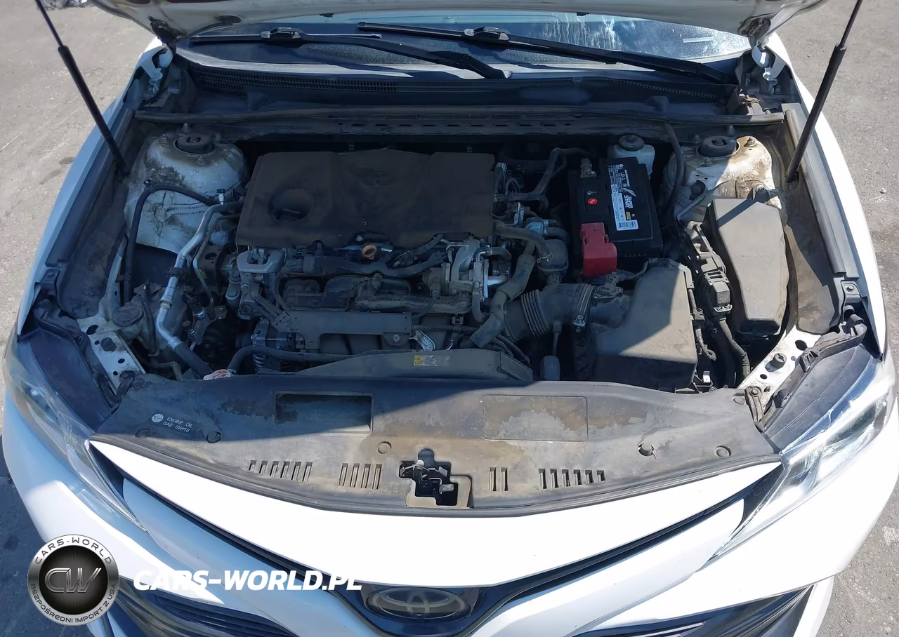 2019 Toyota Camry Le VIN:4T1B11HK7KU239442 - 10