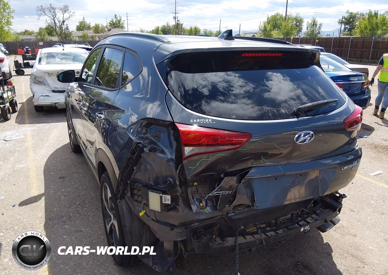 2016 Hyundai Tucson Limited VIN:KM8J3CA25GU025780 - 3