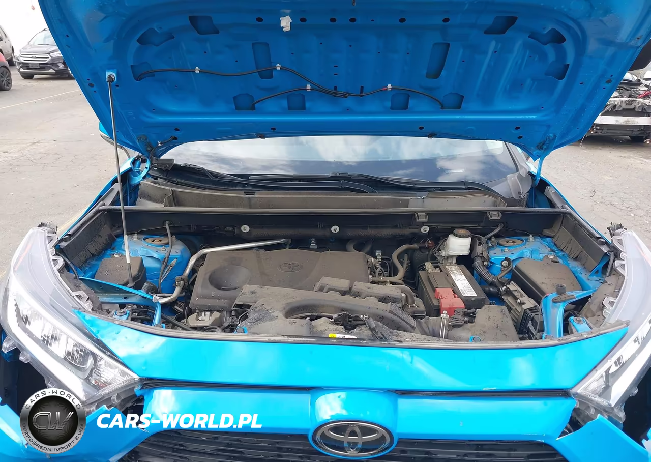 2019 Toyota Rav4 Xle VIN:2T3P1RFV7KW027293 - 10