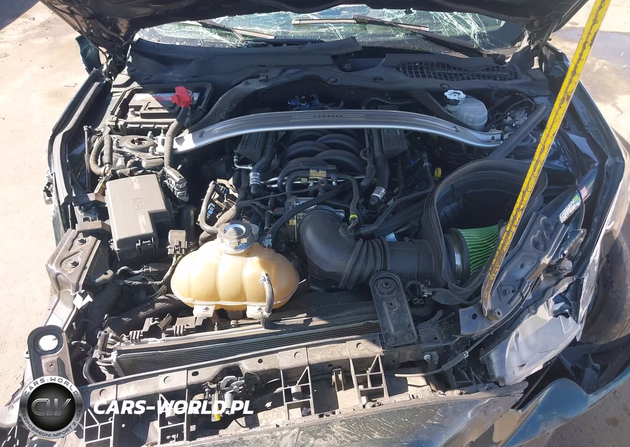 2019 Ford Mustang Bullitt VIN:1FA6P8K06K5502864 - 10