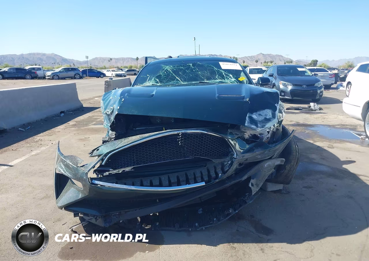 2019 Ford Mustang Bullitt VIN:1FA6P8K06K5502864 - 12