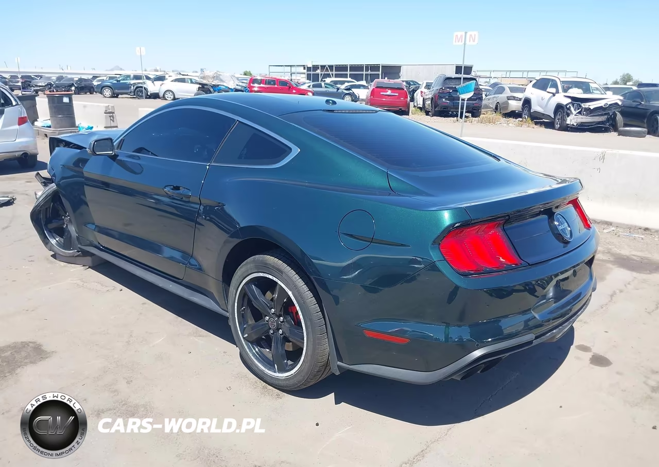 2019 Ford Mustang Bullitt VIN:1FA6P8K06K5502864 - 3