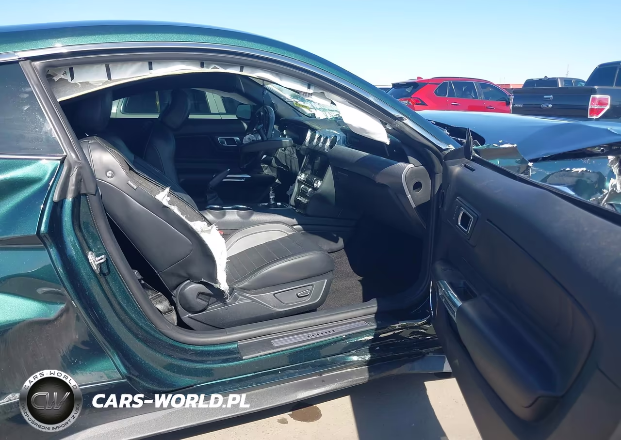 2019 Ford Mustang Bullitt VIN:1FA6P8K06K5502864 - 5