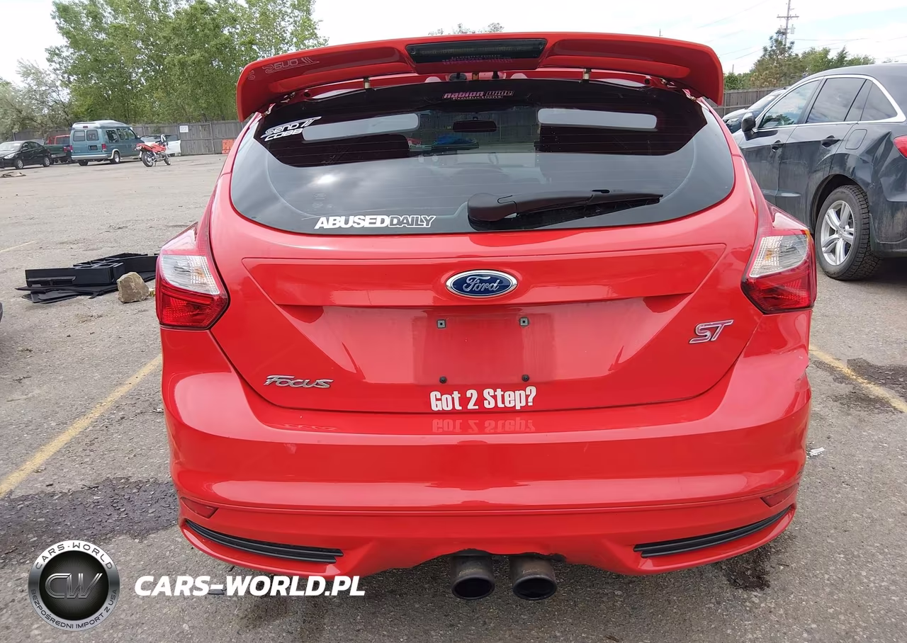 2013 Ford Focus St VIN:1FADP3L97DL334626 - 17