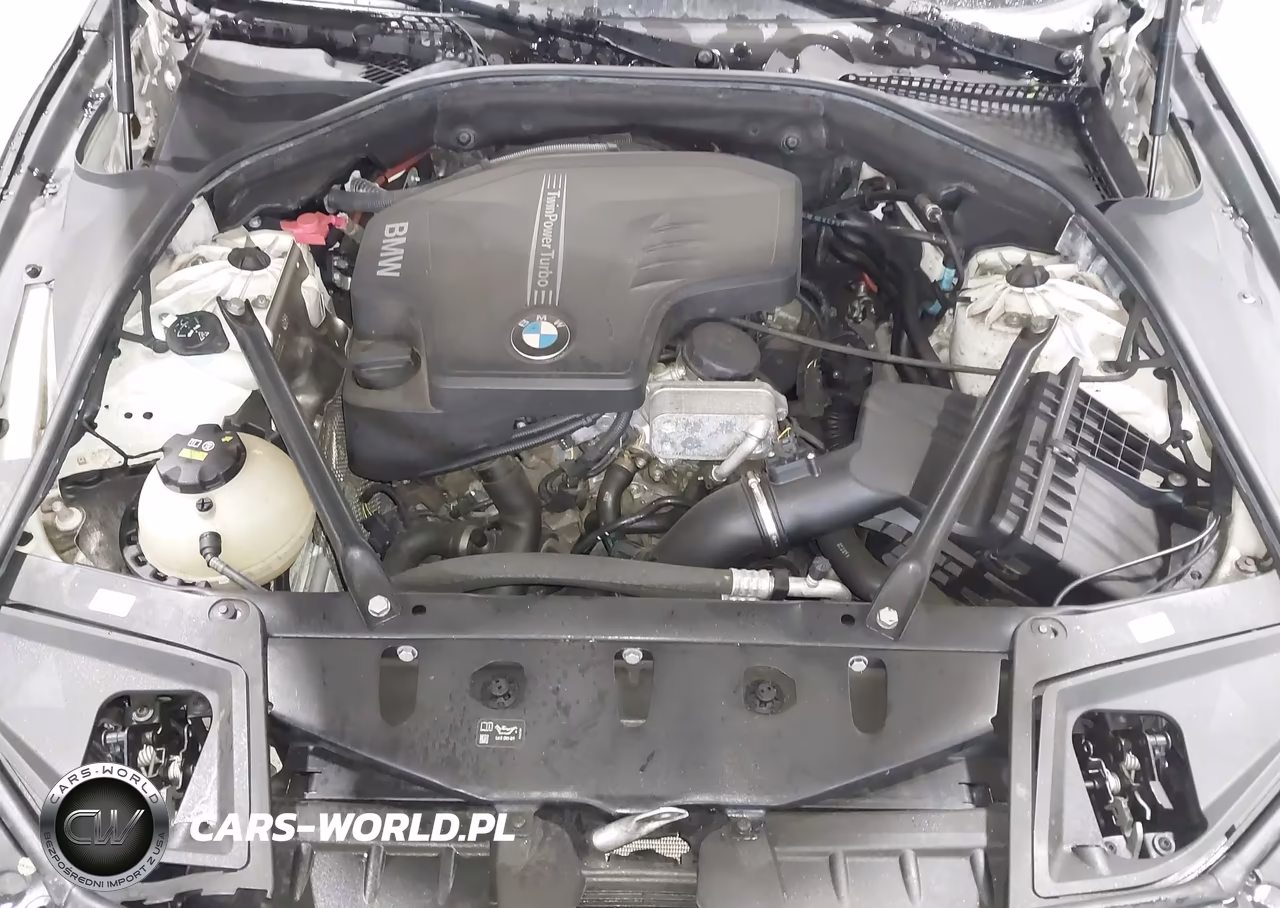 2016 BMW 528I xDrive VIN:WBA5A7C59GG151663 - 10