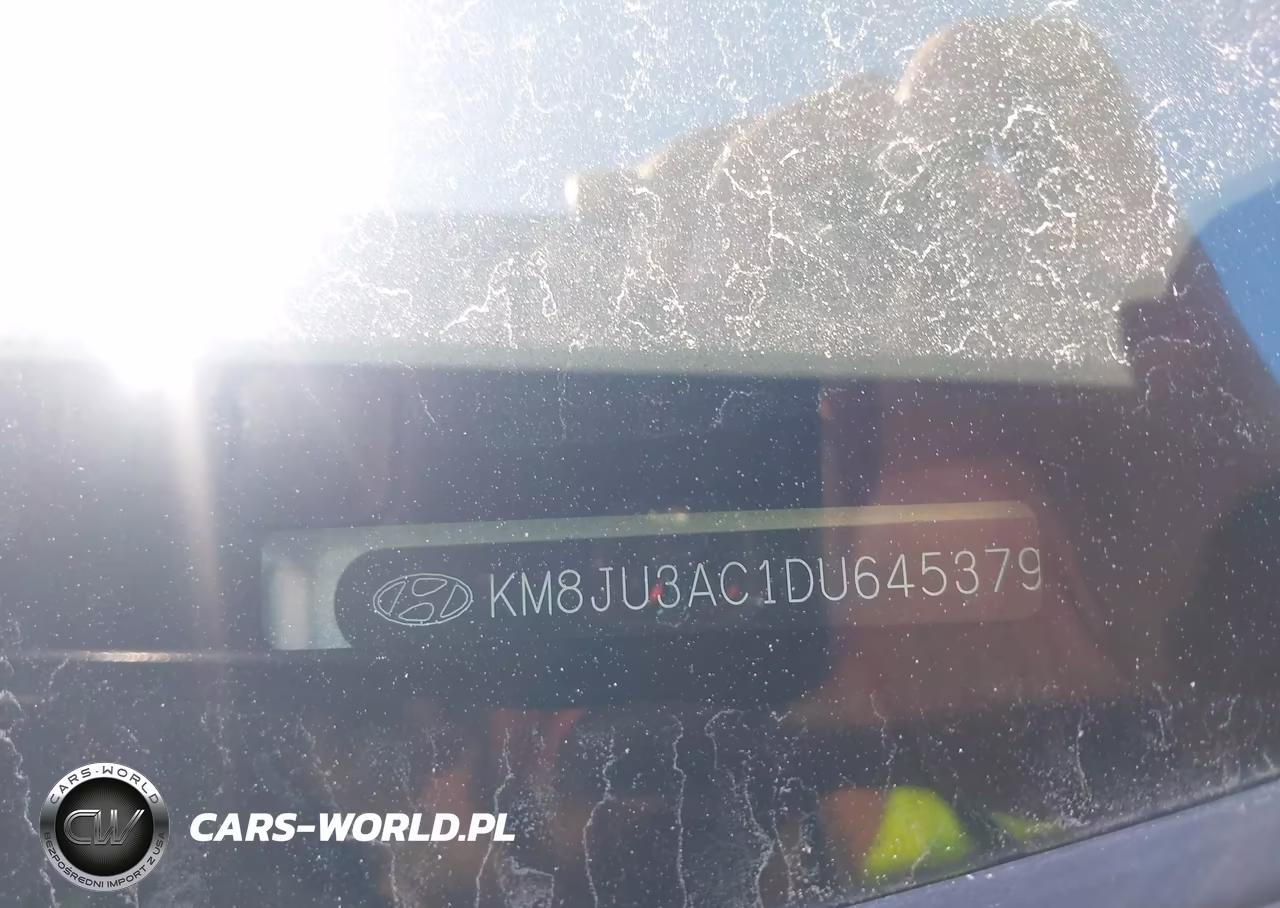 2013 Hyundai Tucson Gls VIN:KM8JU3AC1DU645379 - 9