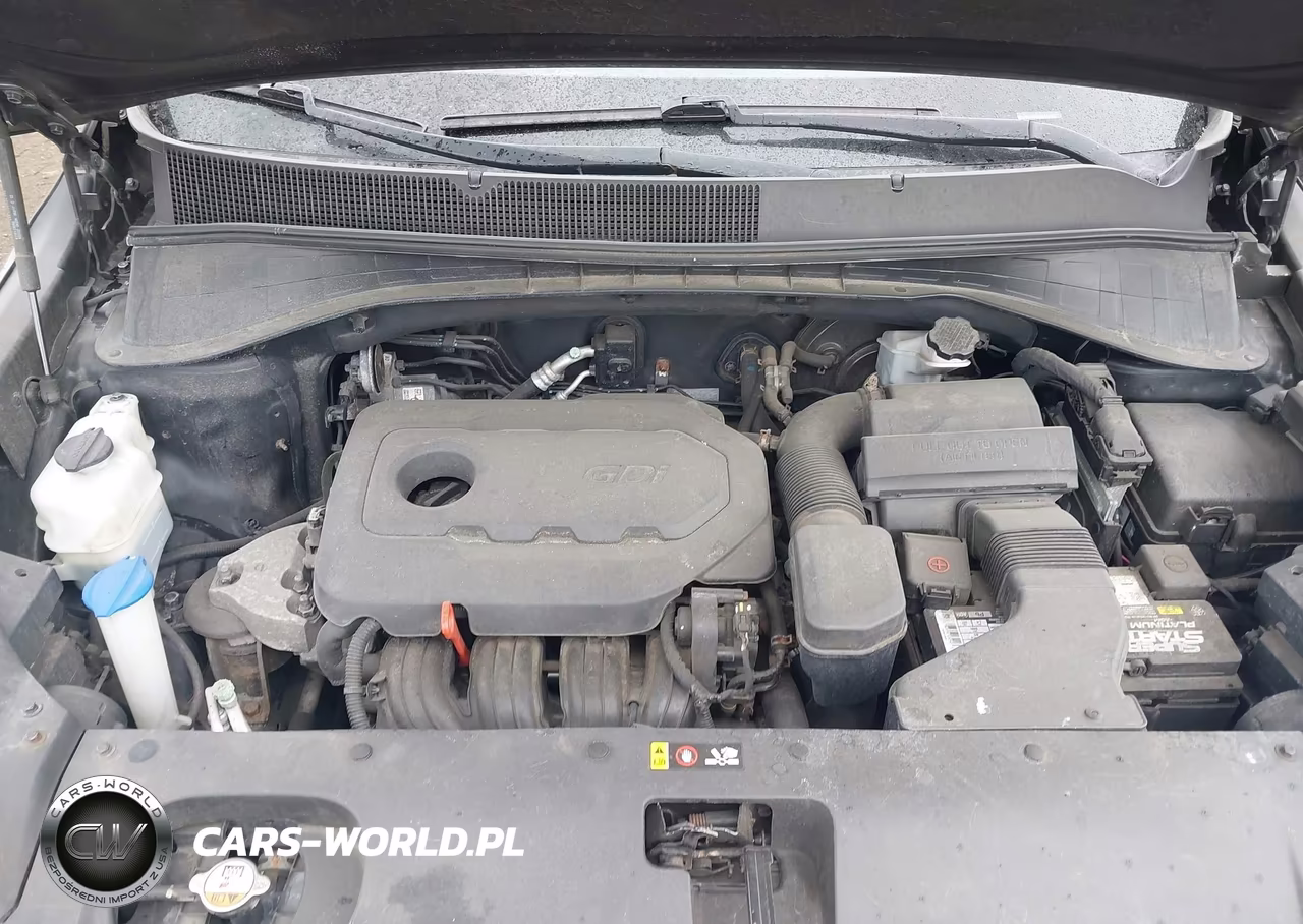 2017 Kia Sorento 2.4L Lx VIN:5XYPGDA3XHG331507 - 10