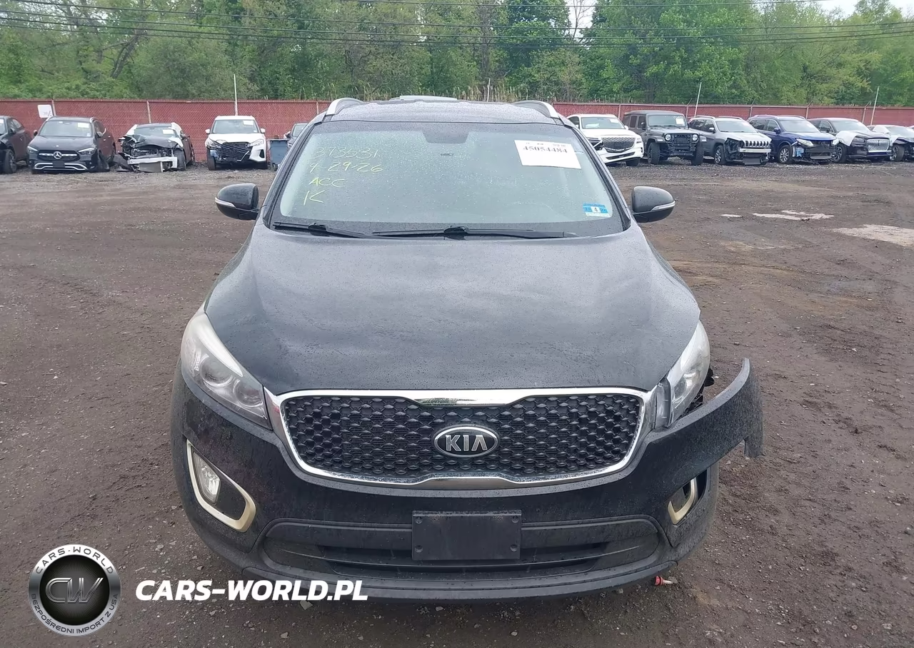 2017 Kia Sorento 2.4L Lx VIN:5XYPGDA3XHG331507 - 12