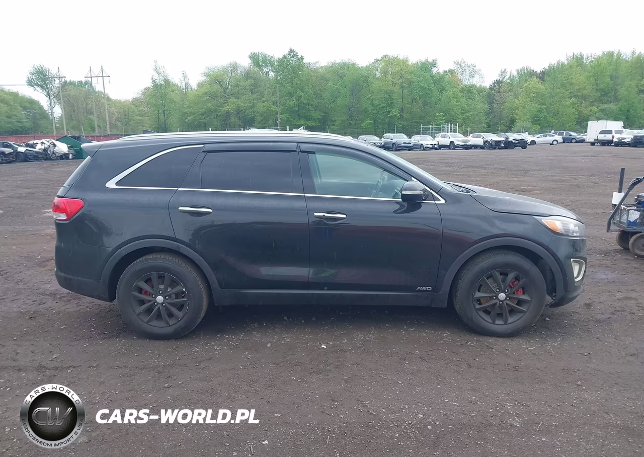2017 Kia Sorento 2.4L Lx VIN:5XYPGDA3XHG331507 - 13
