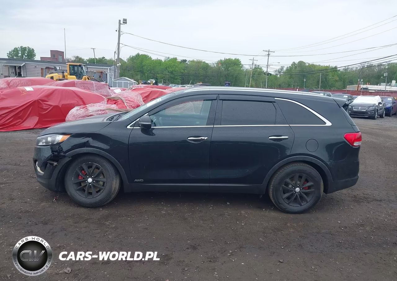 2017 Kia Sorento 2.4L Lx VIN:5XYPGDA3XHG331507 - 14