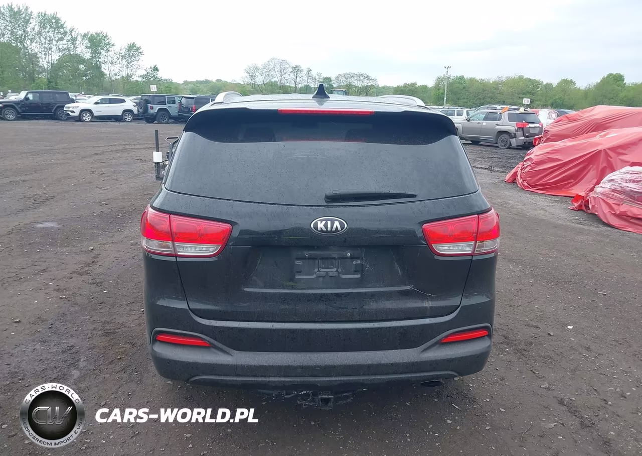 2017 Kia Sorento 2.4L Lx VIN:5XYPGDA3XHG331507 - 16