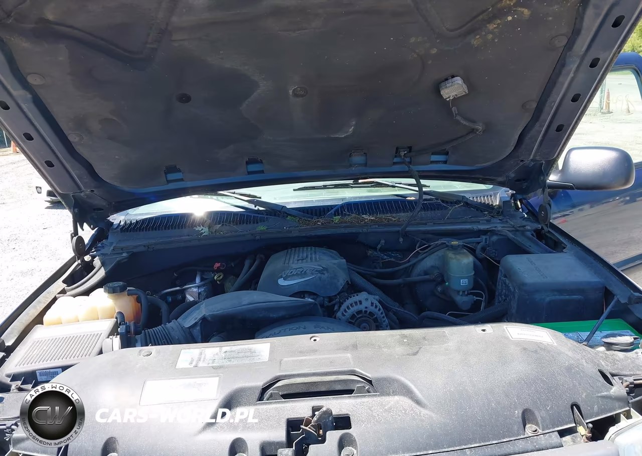 2002 GMC Sierra 1500 Standard VIN:1GTEC14V32Z212981 - 10
