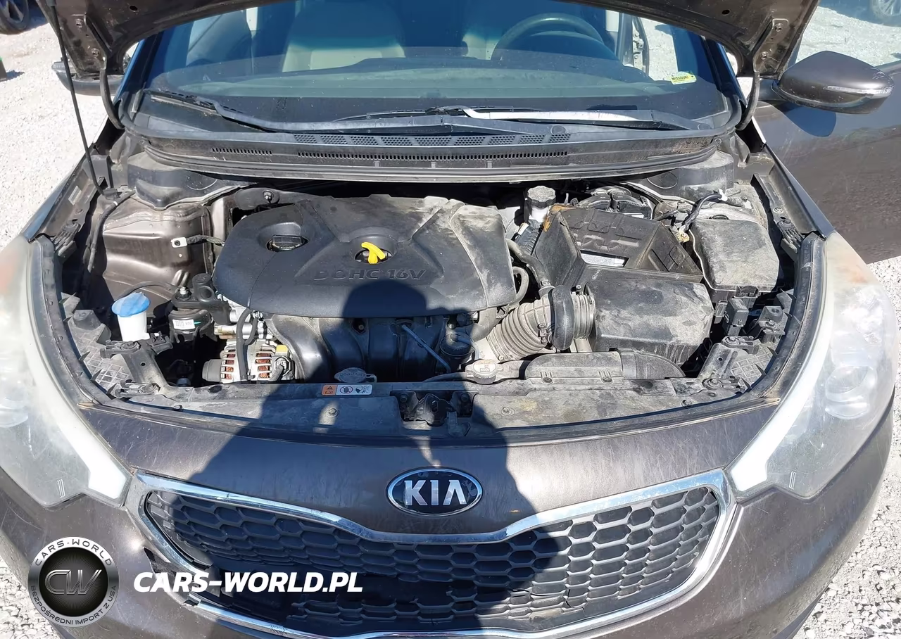 2015 Kia Forte Lx VIN:KNAFX4A61F5357356 - 10