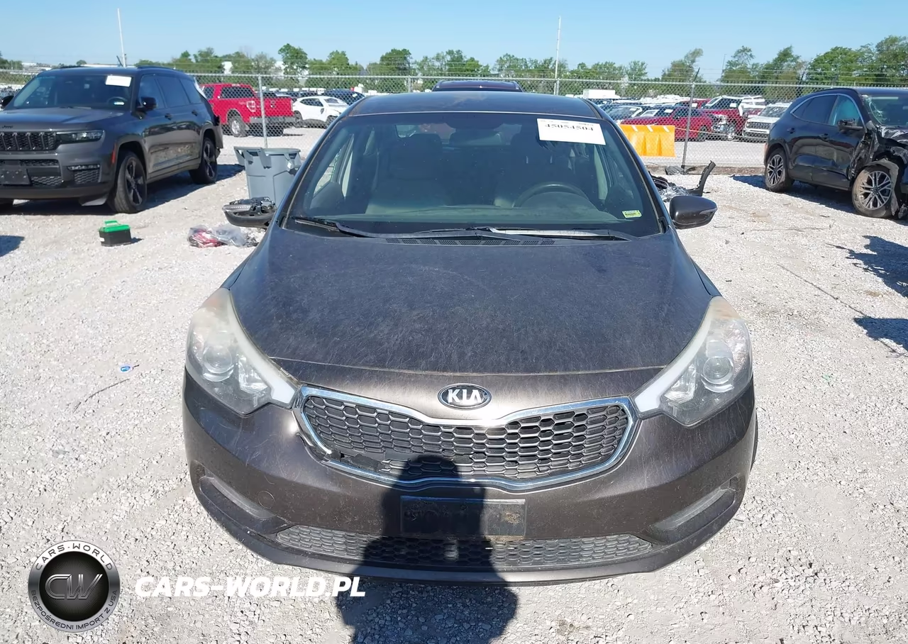 2015 Kia Forte Lx VIN:KNAFX4A61F5357356 - 13