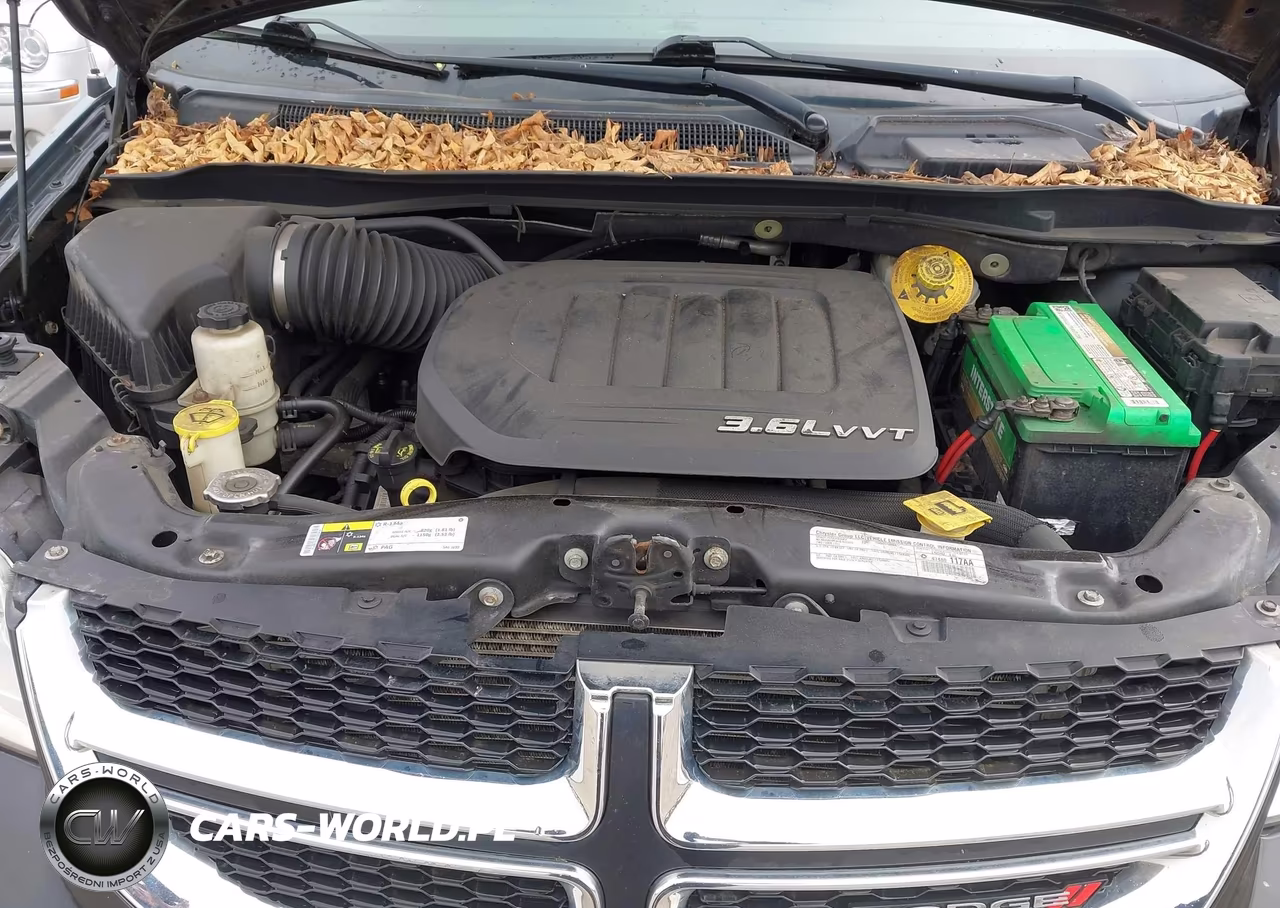 2015 Dodge Grand Caravan Se VIN:2C4RDGBG3FR591518 - 10
