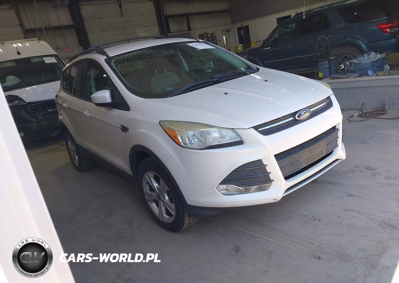 2013 Ford Escape Se