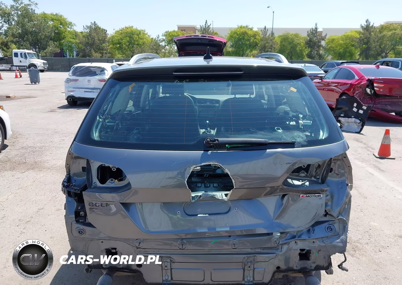 2019 Volkswagen Golf Alltrack Tsi S-Tsi Se-Tsi Sel VIN:3VWH17AU0KM517063 - 17