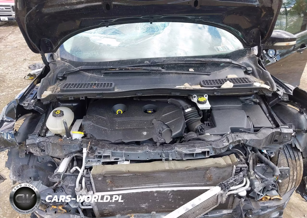 2019 Ford Escape Titanium VIN:1FMCU9J91KUB76369 - 10