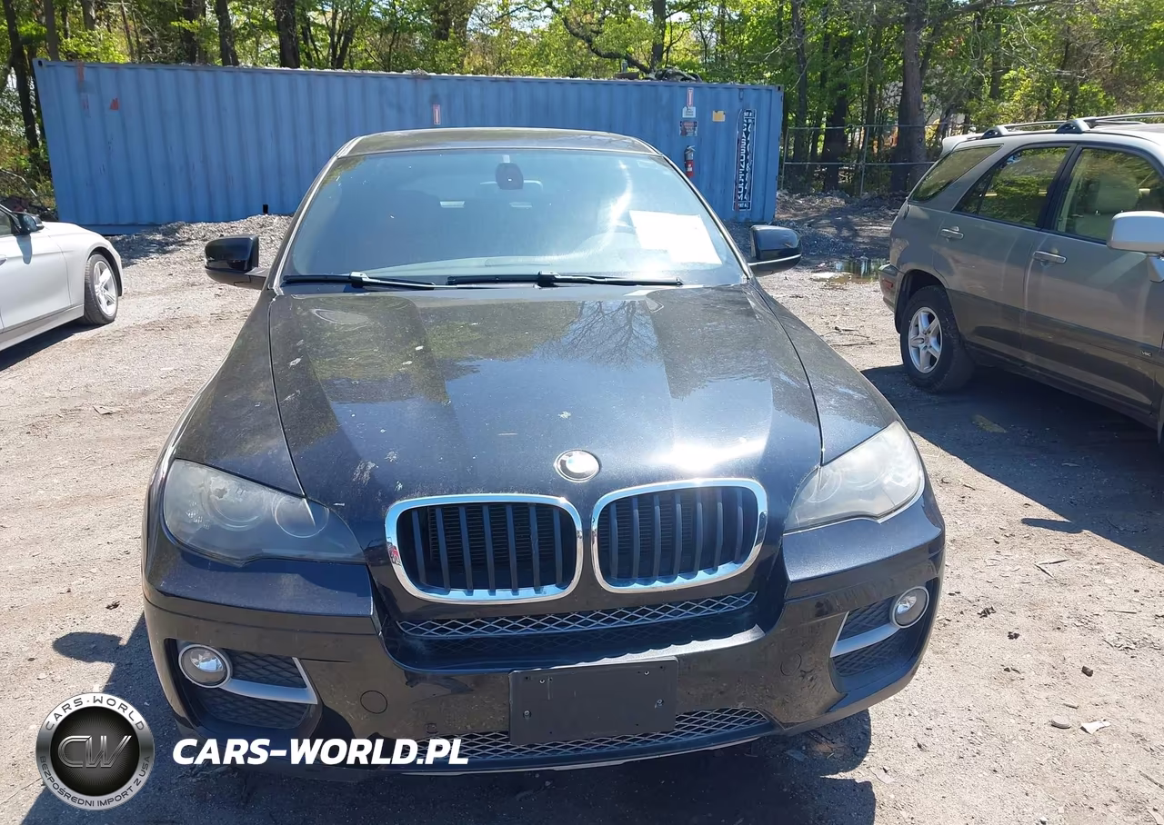 2014 BMW X6 xDrive35I VIN:5UXFG2C55E0C45703 - 12