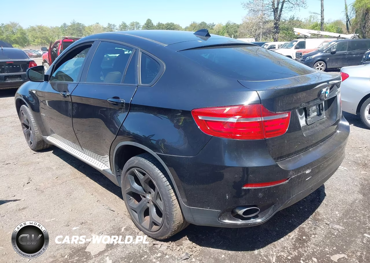 2014 BMW X6 xDrive35I VIN:5UXFG2C55E0C45703 - 3