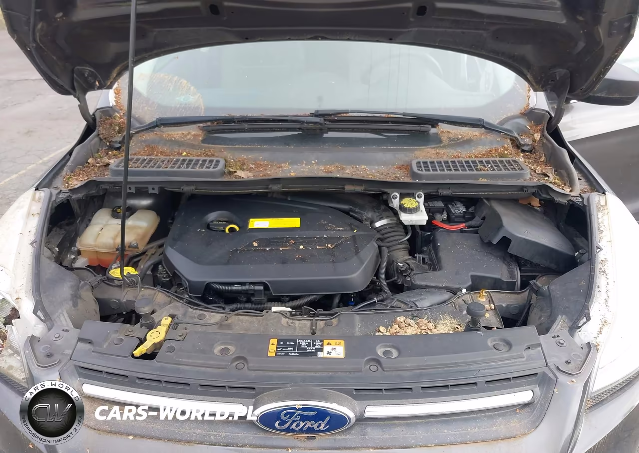 2015 Ford Escape Se VIN:1FMCU0GX5FUC36922 - 10