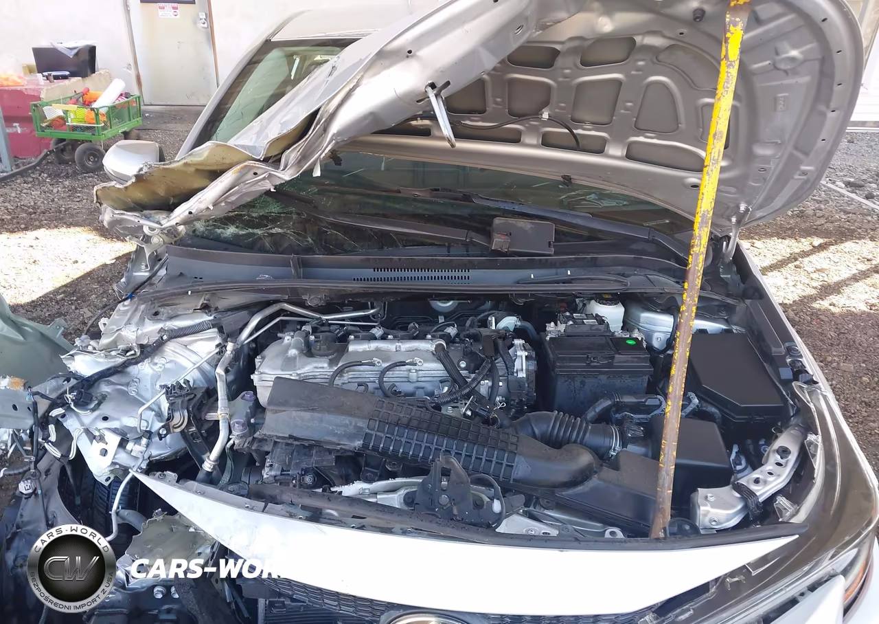 2020 Toyota Corolla Le VIN:5YFEPRAE7LP125216 - 10