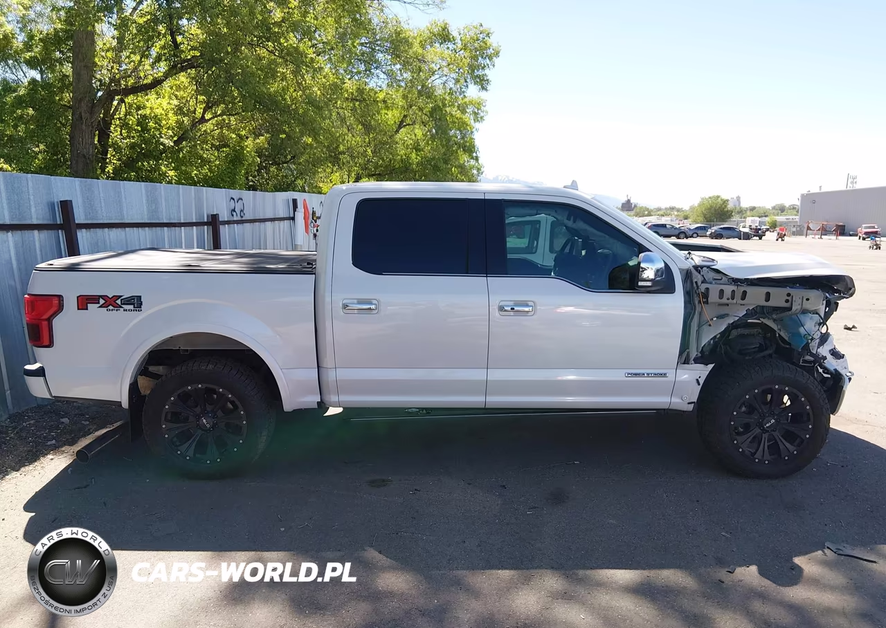2018 Ford F-150 Platinum VIN:1FTFW1E14JFC54289 - 13